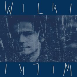 Album cover of Wilki