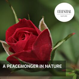 Album cover of A PeaceMonger in Nature