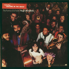 Album cover of The Promise Of A Future