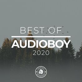 Album cover of Best of Audioboy 2020