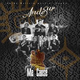 Album cover of Me Cansé