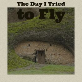 Album cover of The Day I Tried to Fly