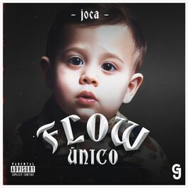 Album cover of Flow Único