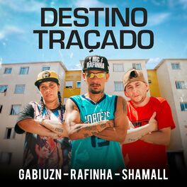 Album cover of Destino Traçado