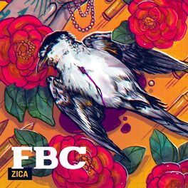 Album cover of Zica