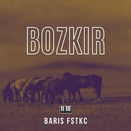 Album cover of Bozkır