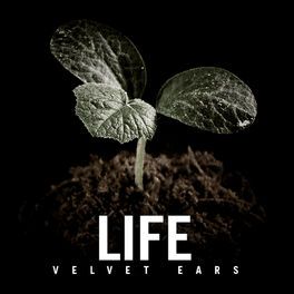 Album cover of Velvet Ears: Life