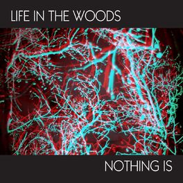 Album cover of Nothing Is