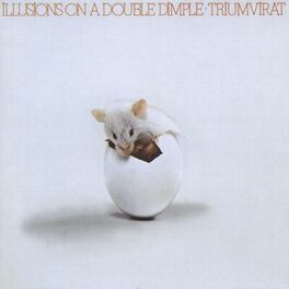 Album cover of Illusions On A Double Dimple