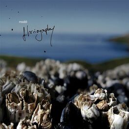 Album cover of Floriography