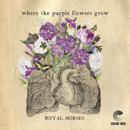 Album cover of Where The Purple Flowers Grow