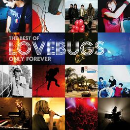 Album cover of Onyl Forever - The Best of Lovebugs