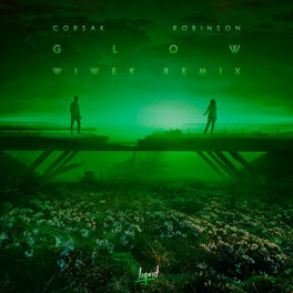 Album picture of GLOW (Wiwek Remix)