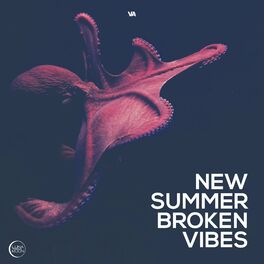Album cover of New Summer Broken Vibes