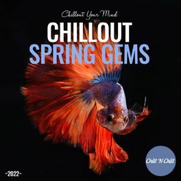 Album cover of Chillout Spring Gems 2022: Chillout Your Mind