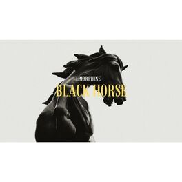 Album cover of Black Horse (feat. L'Morphine) [Feat]