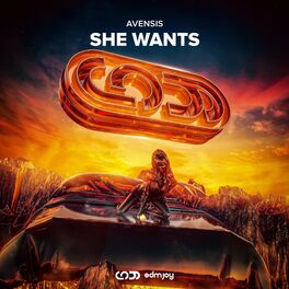 Album cover of She Wants