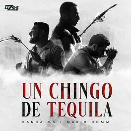 Album cover of Un Chingo de Tequila