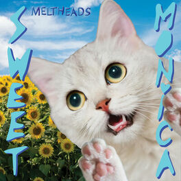 Album cover of Sweet Monica