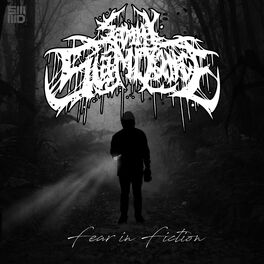 Album cover of Fear in Fiction