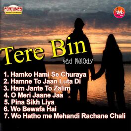Album cover of Tere Bin