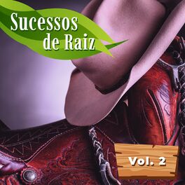 Album cover of Sucessos de Raiz Vol.2