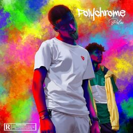 Album cover of Polychrome