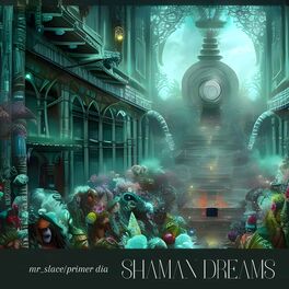 Album cover of shaman dreams