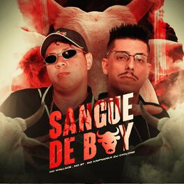 Album cover of Sangue de Boy