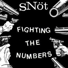 Album cover of Fighting the Numbers