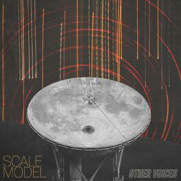 Album cover of Other Voices