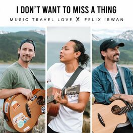 Album cover of I Don't Want to Miss a Thing