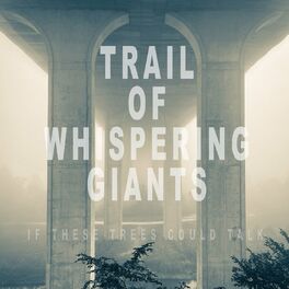 Album cover of Trail of Whispering Giants