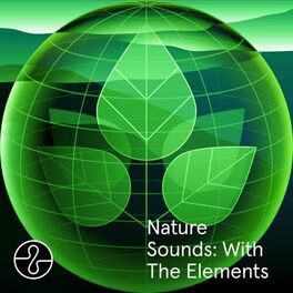 Album cover of Nature Sounds: With The Elements (Ocean, Rain, Forest)