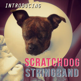 Album cover of Introducing Scratchdog Stringband