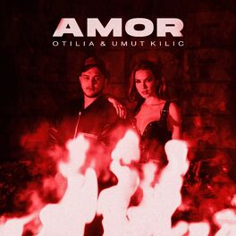 Album cover of Amor
