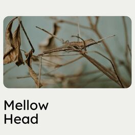 Album cover of Mellow Head