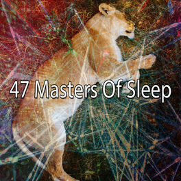 Album cover of 47 Masters of Sleep