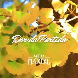 Album cover of Dor Da Partida