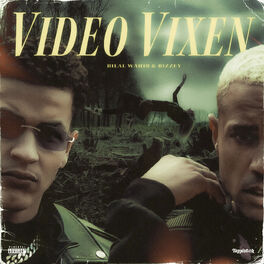 Album cover of Video Vixen