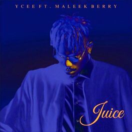 Album cover of Berry Juice