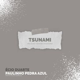 Album cover of Tsunami