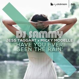 Album cover of Have You Ever Seen the Rain