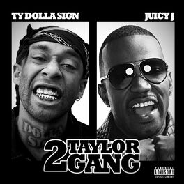 Album cover of 2 Taylor Gang