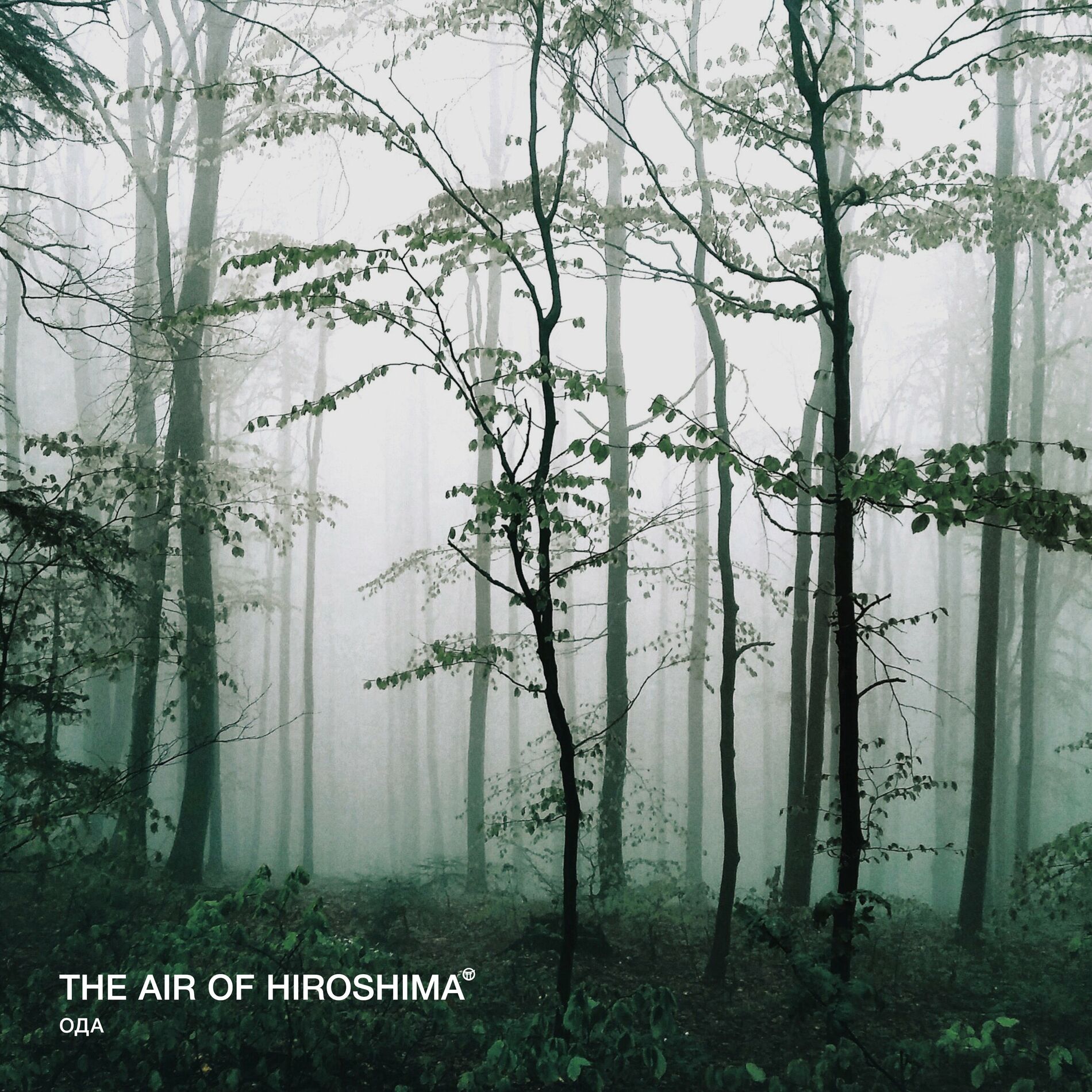 The Air of Hiroshima: albums, songs, playlists | Listen on Deezer