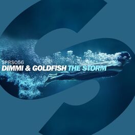 Album cover of The Storm
