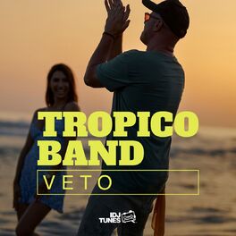 Album cover of Veto