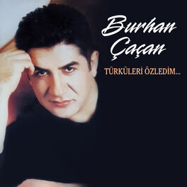 Album cover of Türküleri Özledim