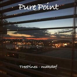 Album cover of Pure Point