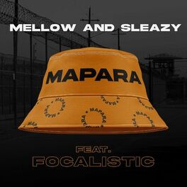Album cover of Mapara (feat. Focalistic)